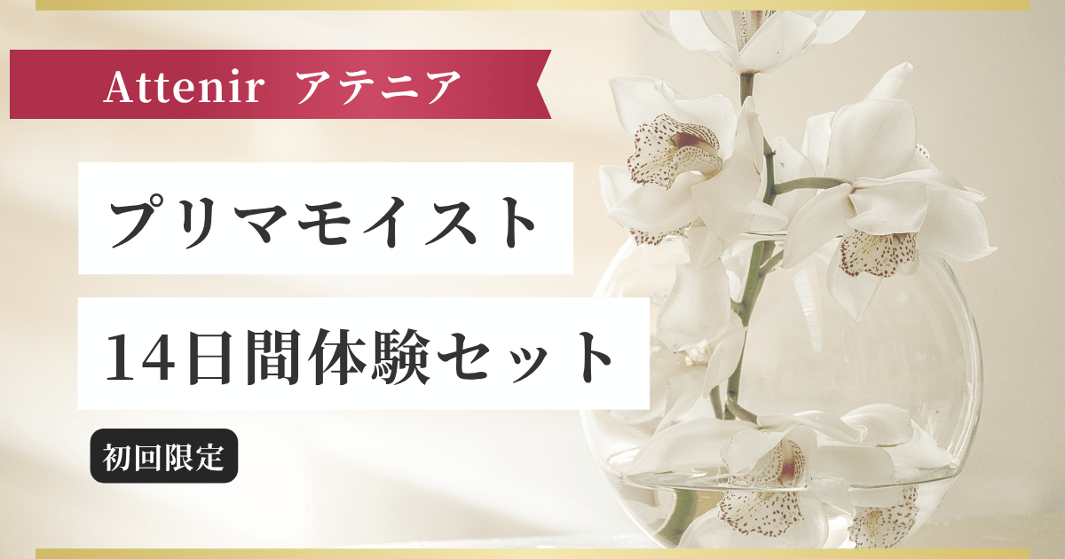 【Attenirアテニア】プリマモイスト14日間体験セット記事のアイキャッチ画像