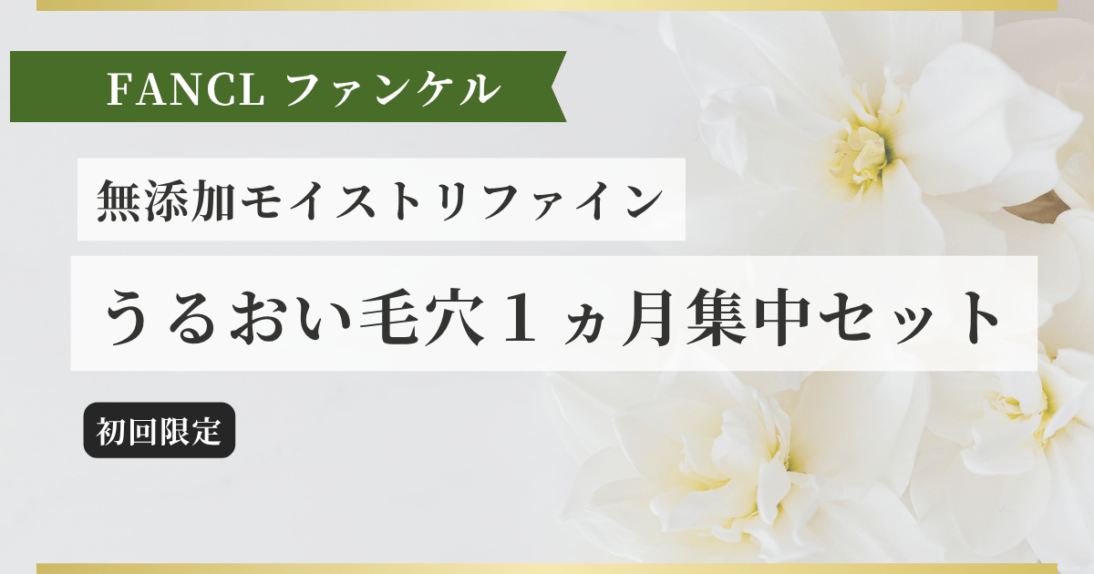 無添加モイストリファイン うるおい毛穴１ヵ月集中セット記事のアイキャッチ画像