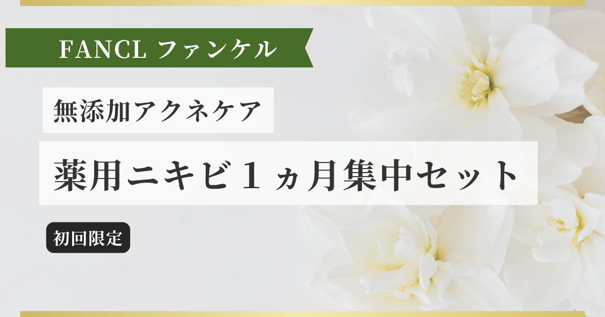 無添加アクネケア 薬用ニキビ１ヵ月集中セット記事のアイキャッチ画像